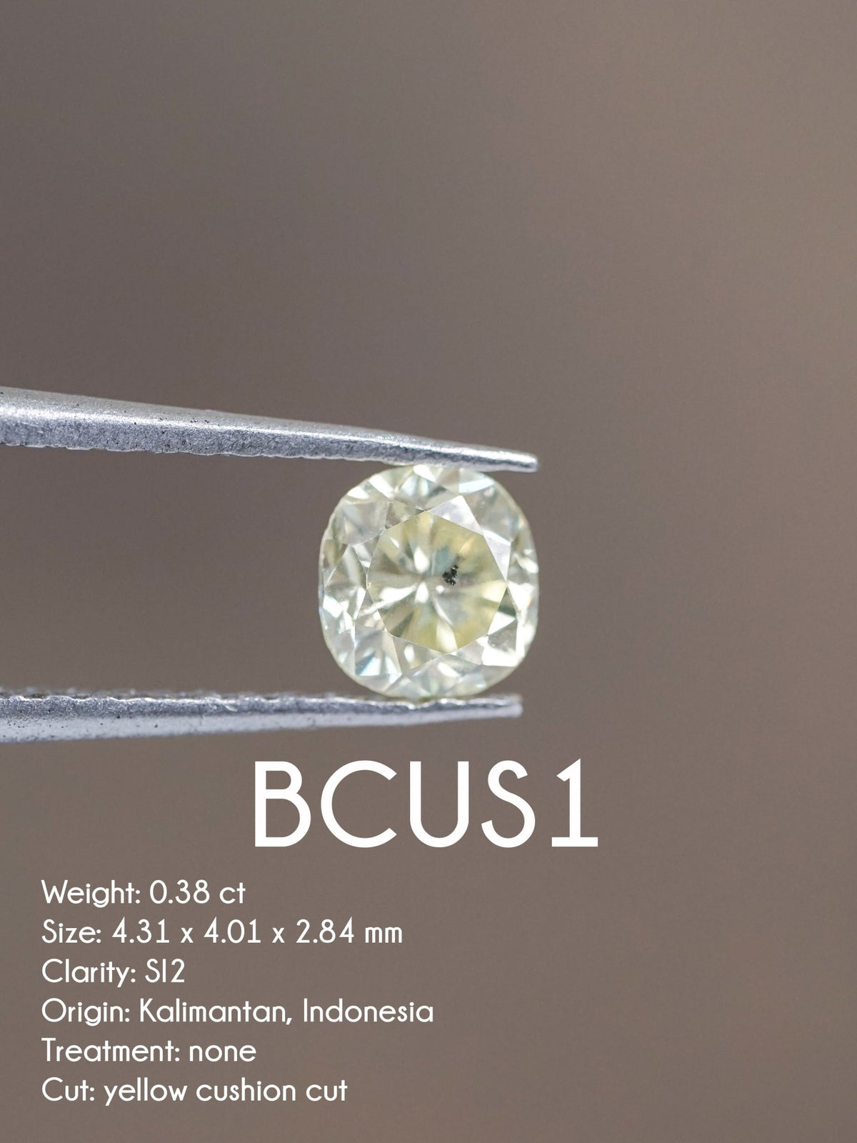 Custom Cushion Brilliant Cut Diamond Ring - Gardens of the Sun | Ethical Jewelry