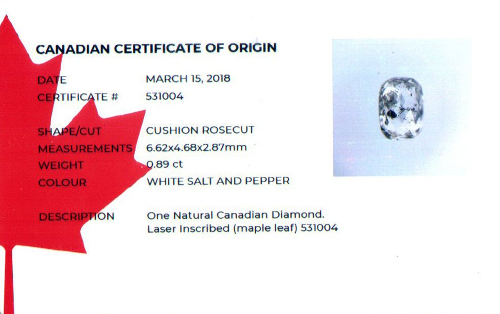 Custom Cushion Rose Cut Diamond Ring in Gold - Gardens of the Sun | Ethical Jewelry