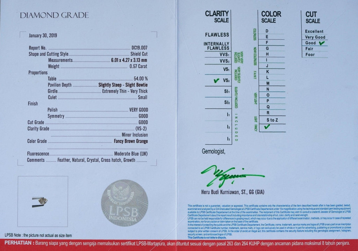 Custom Shield Diamond Ring - Gardens of the Sun | Ethical Jewelry