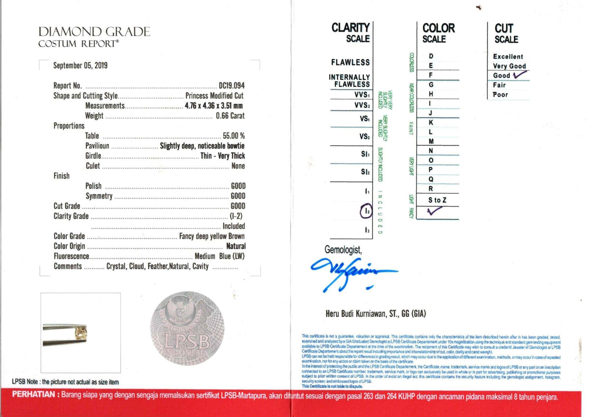 Custom Princess Cut Diamond Ring - Gardens of the Sun | Ethical Jewelry