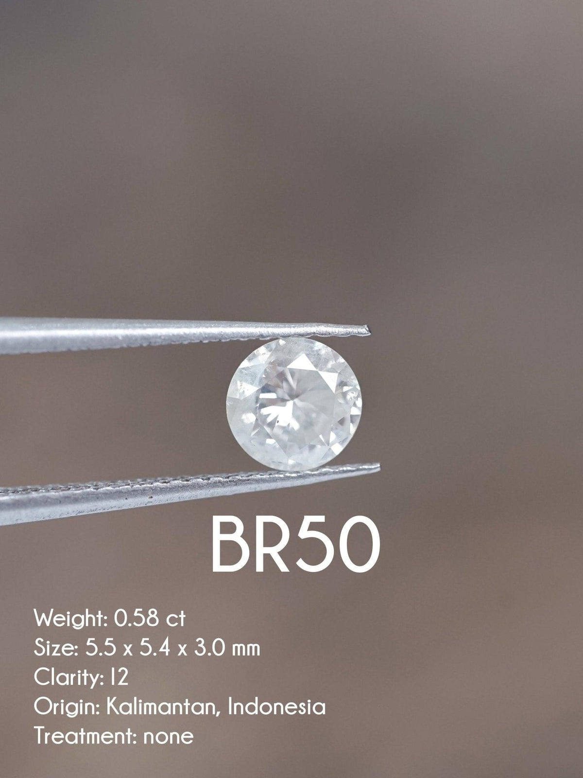 Custom Round Diamond Ring - Gardens of the Sun | Ethical Jewelry