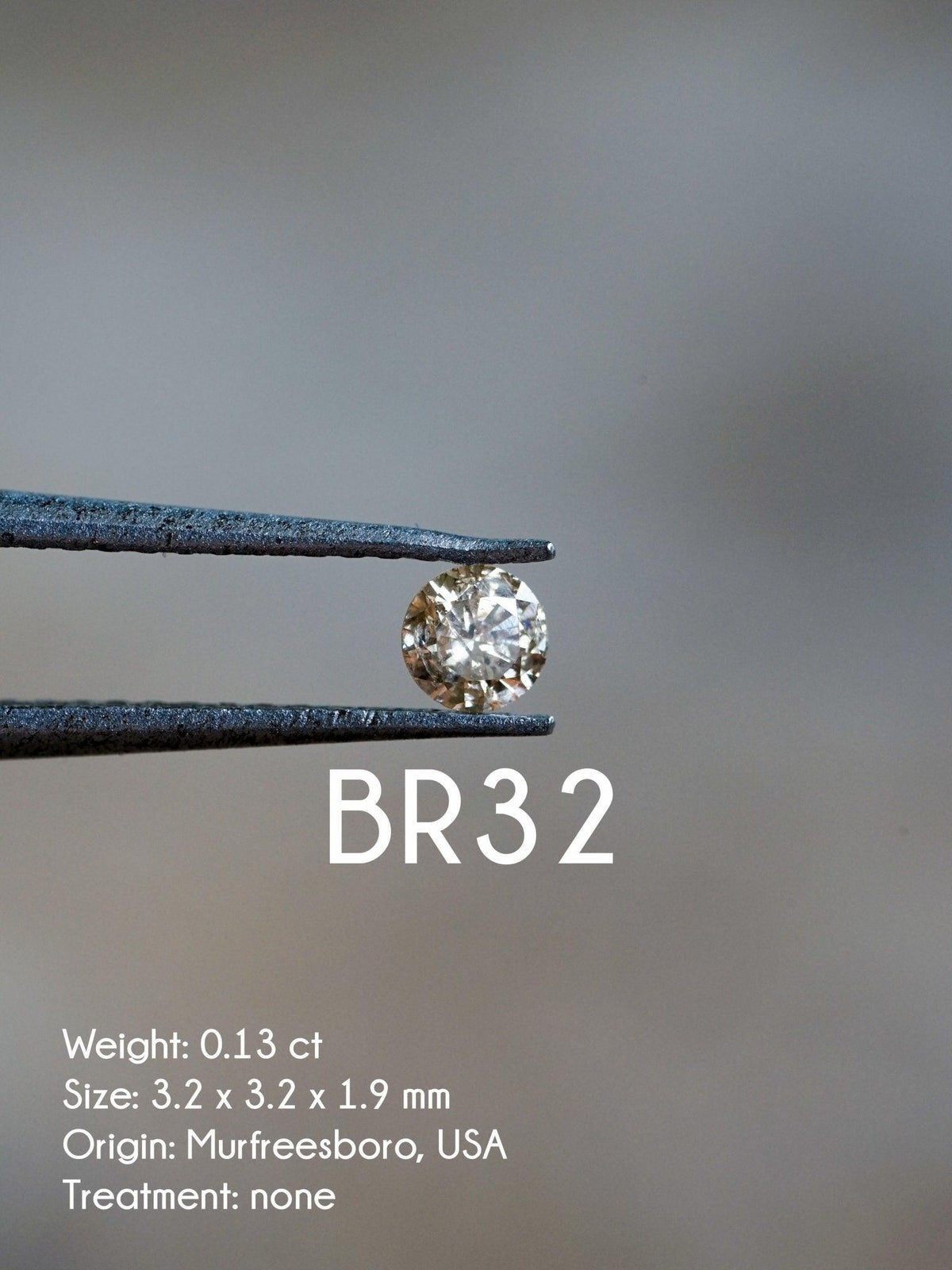 Custom Round Diamond Ring - Gardens of the Sun | Ethical Jewelry