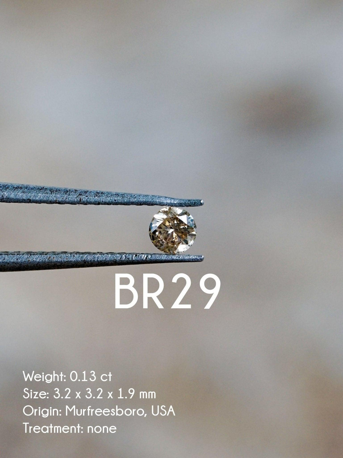 Custom Round Diamond Ring - Gardens of the Sun | Ethical Jewelry