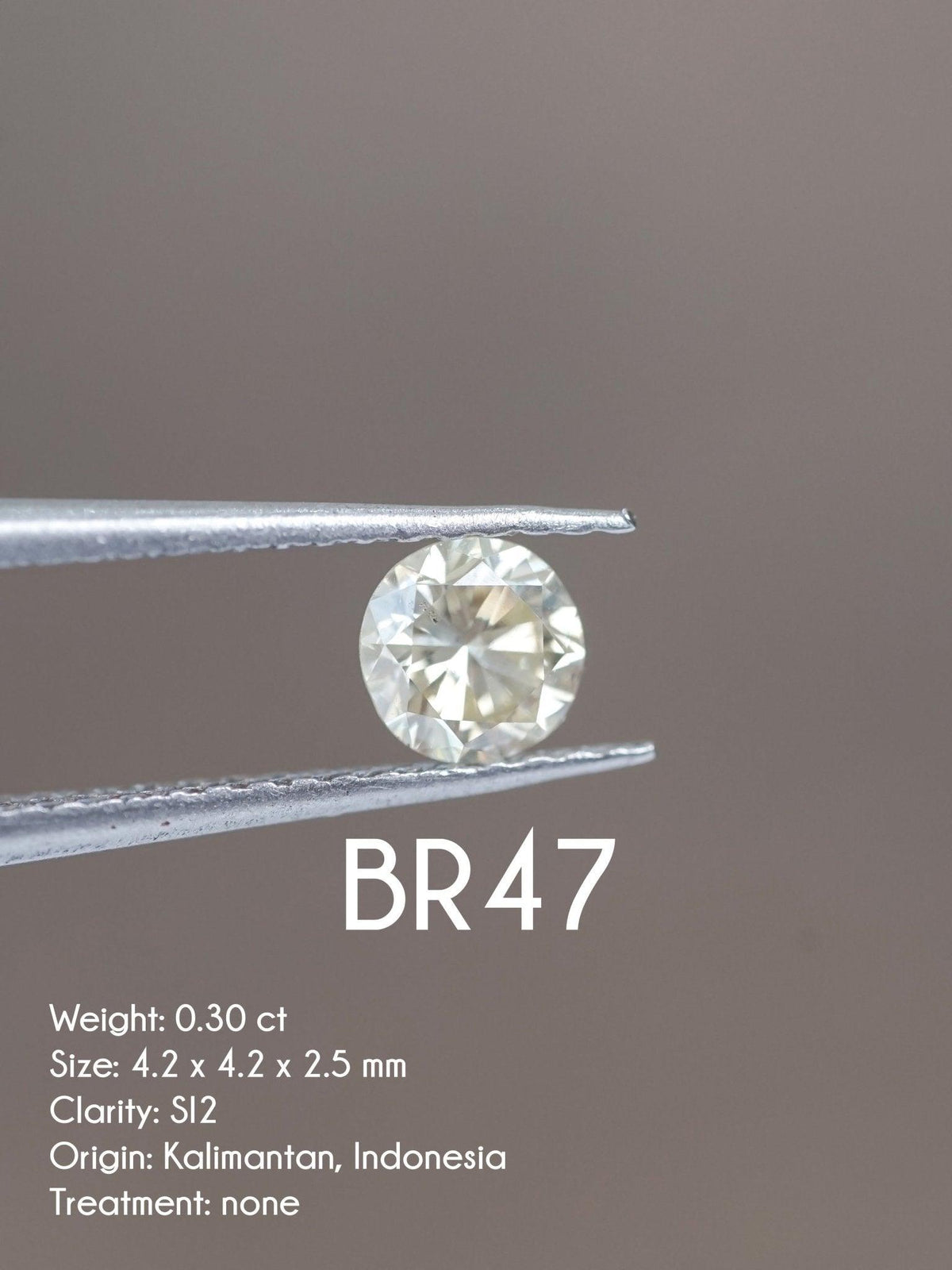 Custom Round Diamond Ring - Gardens of the Sun | Ethical Jewelry