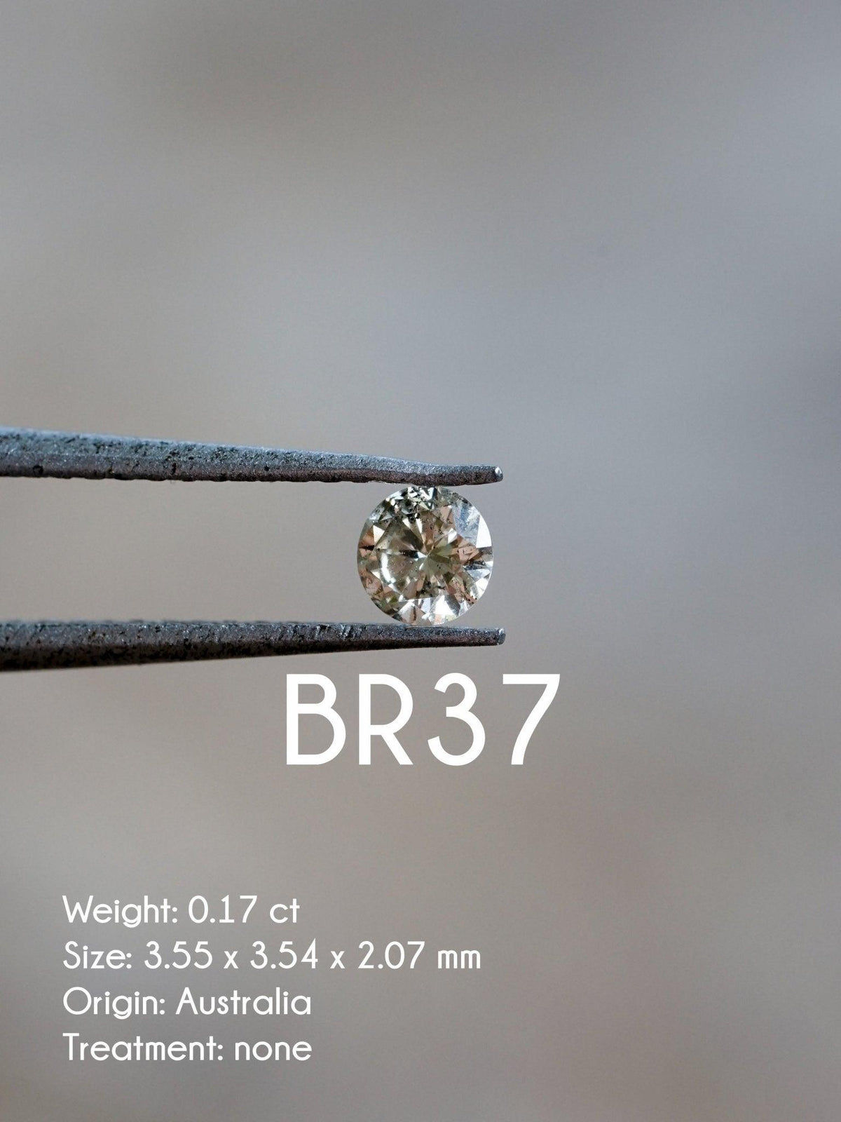 Custom Round Diamond Ring - Gardens of the Sun | Ethical Jewelry