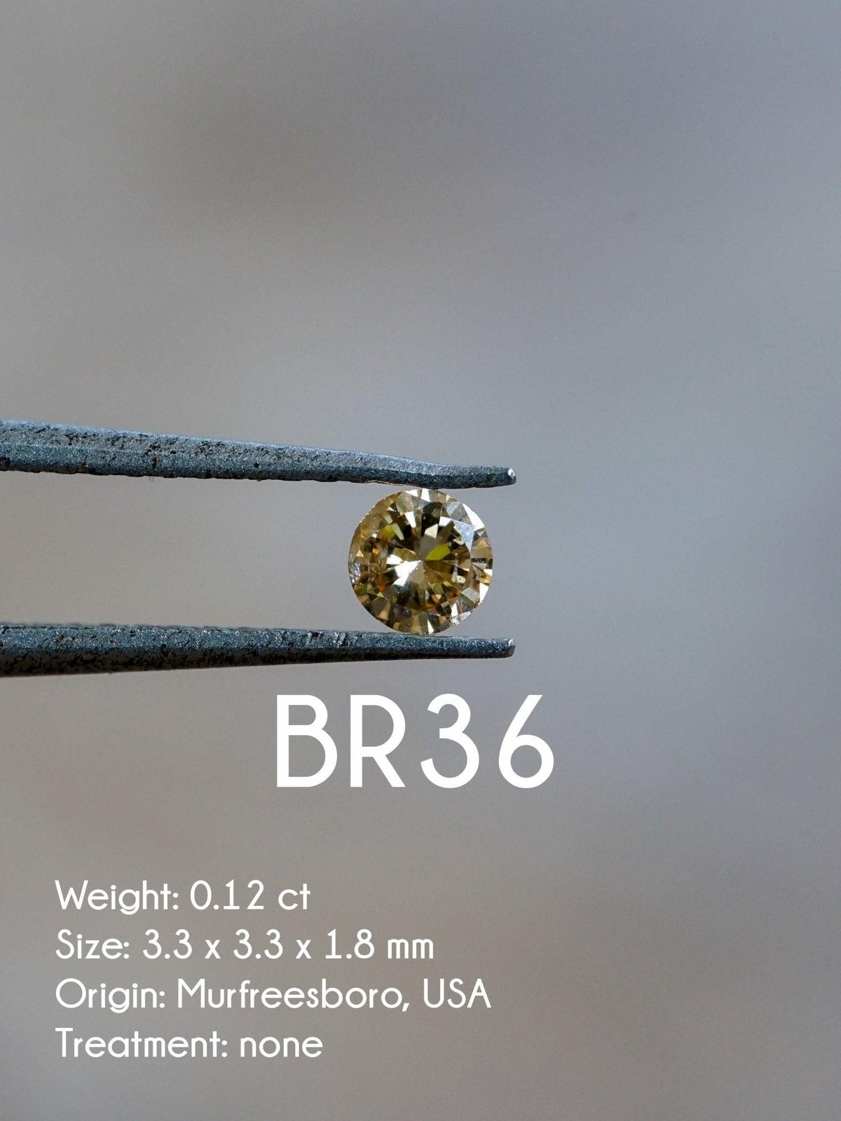 Custom Round Diamond Ring - Gardens of the Sun | Ethical Jewelry