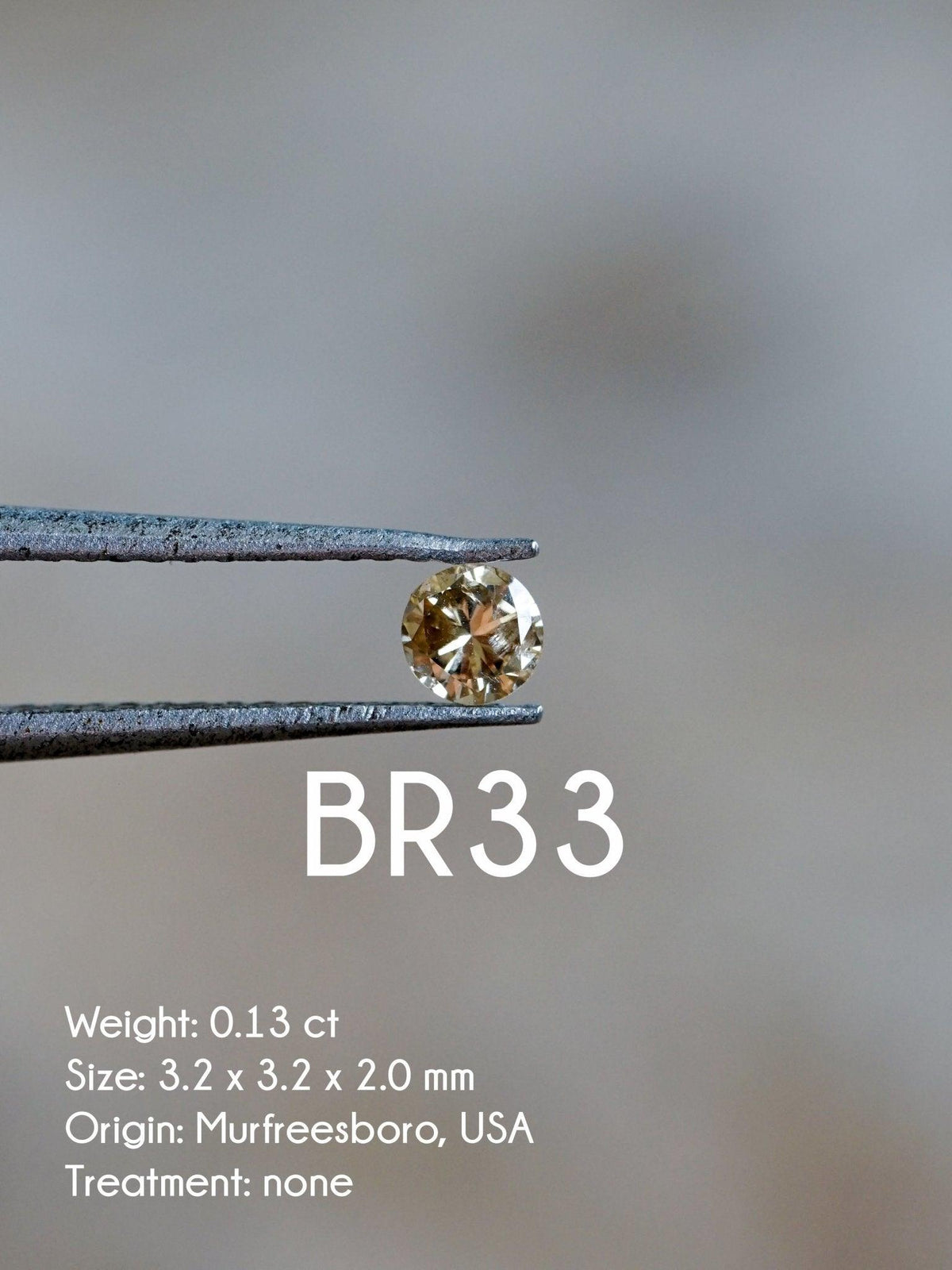 Custom Round Diamond Ring - Gardens of the Sun | Ethical Jewelry