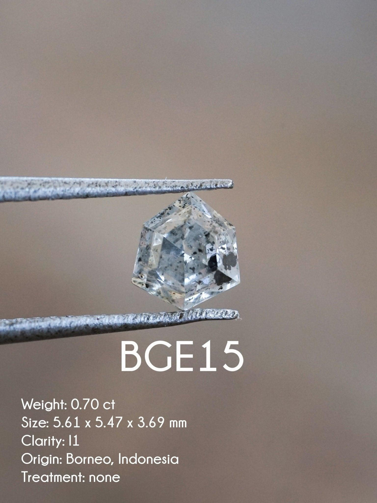 Custom Shield Diamond Ring - Gardens of the Sun | Ethical Jewelry