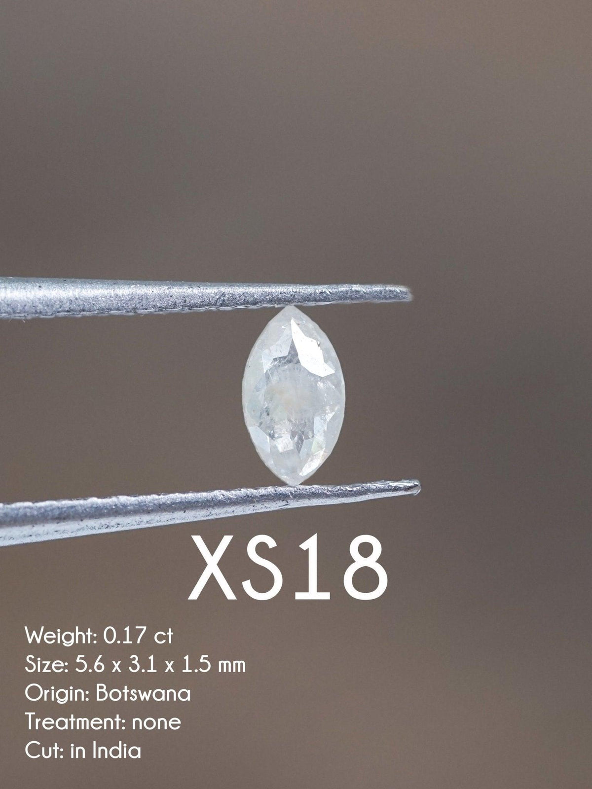 Custom Small Diamond Ring in Silver - Gardens of the Sun | Ethical Jewelry