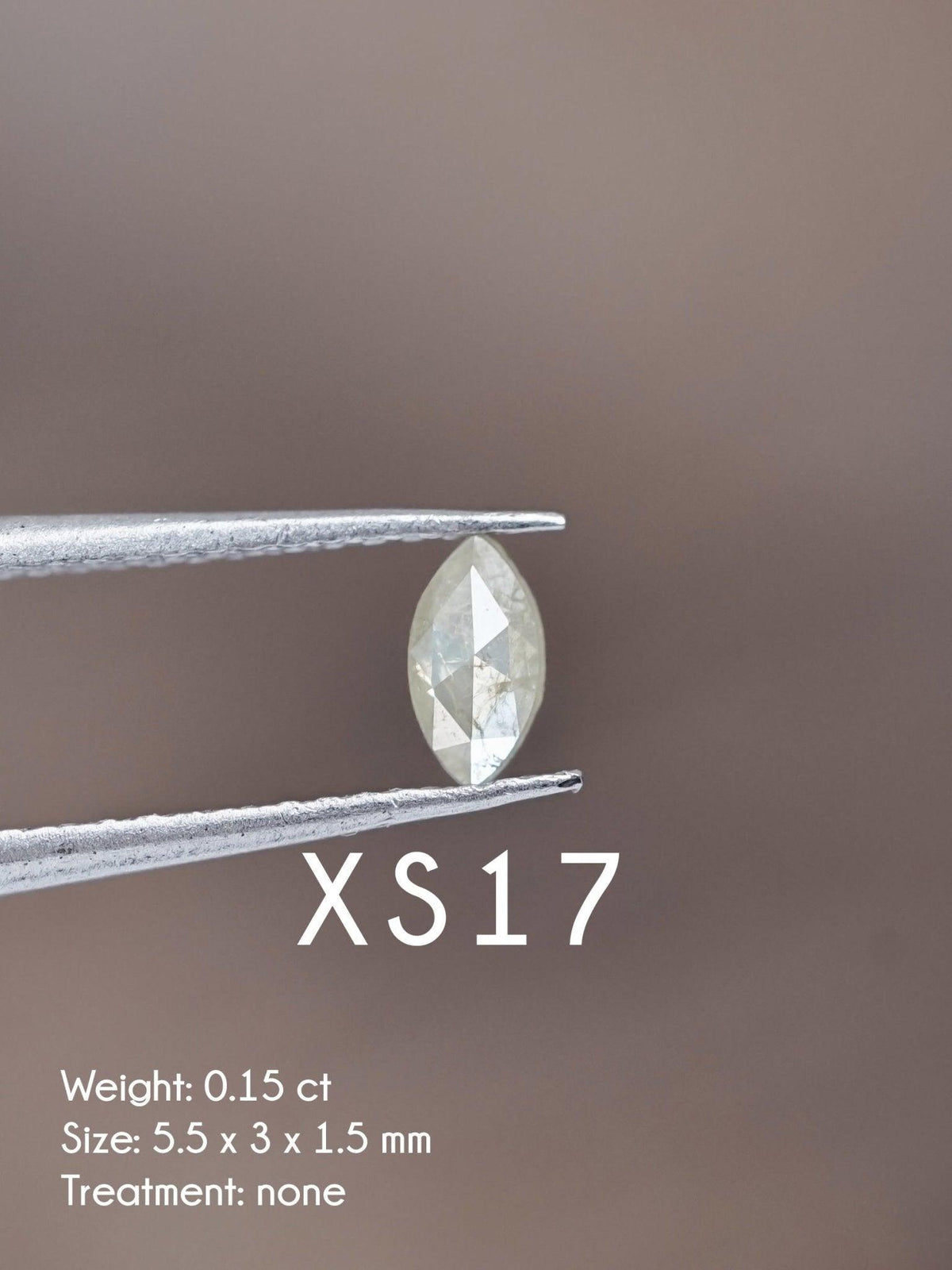 Custom Small Diamond Ring in Silver - Gardens of the Sun | Ethical Jewelry