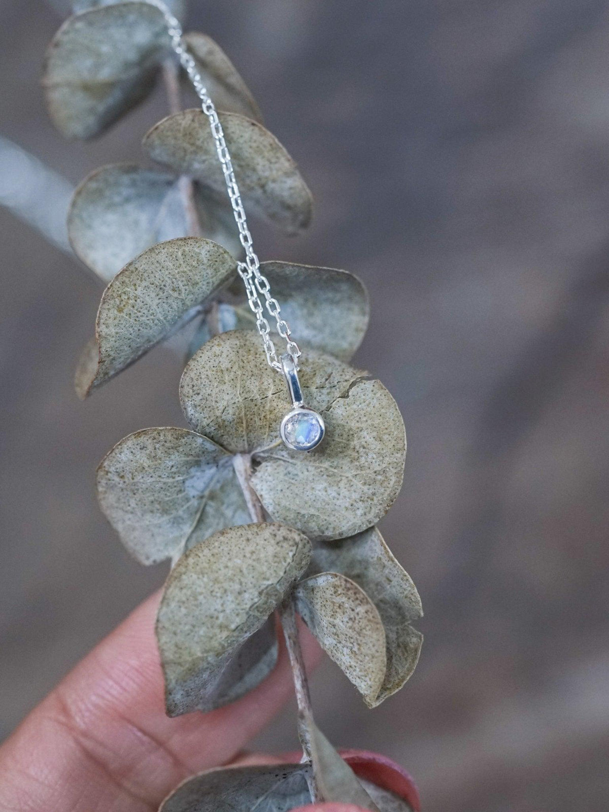 Dainty Rainbow Moonstone Necklace - Gardens of the Sun | Ethical Jewelry