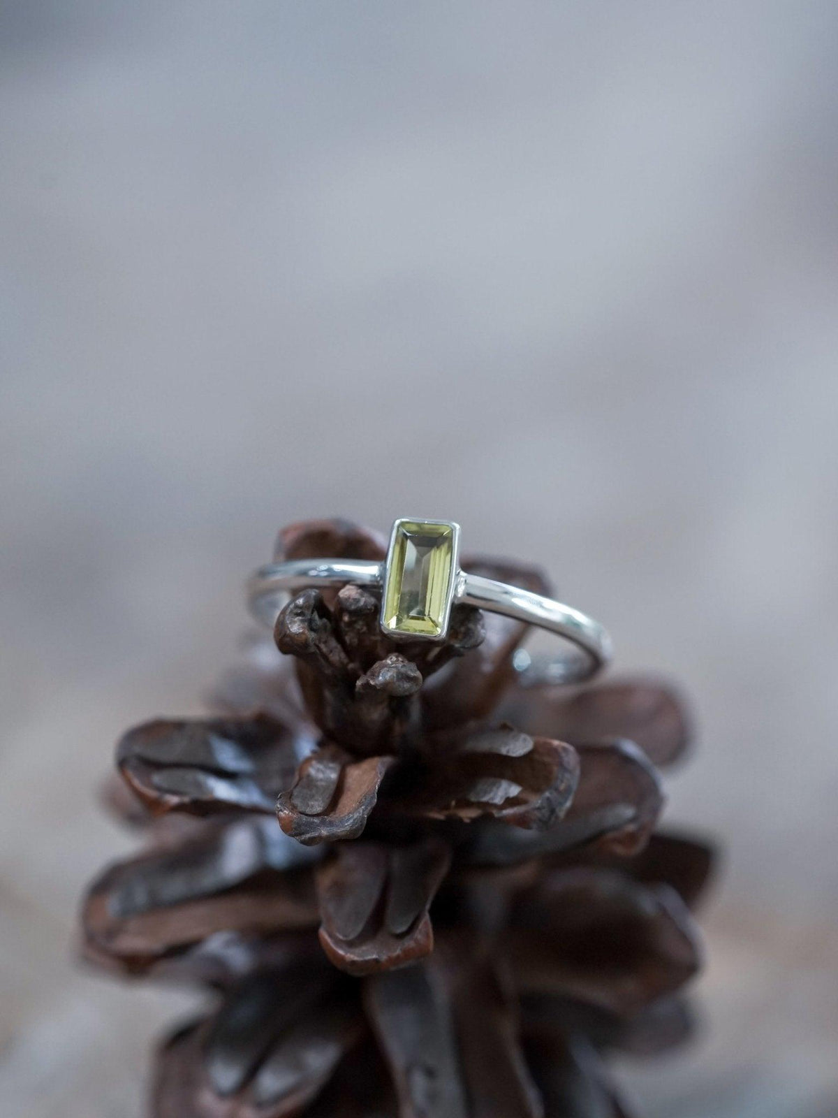 Rainbow Tourmaline Ring - Gardens of the Sun | Ethical Jewelry