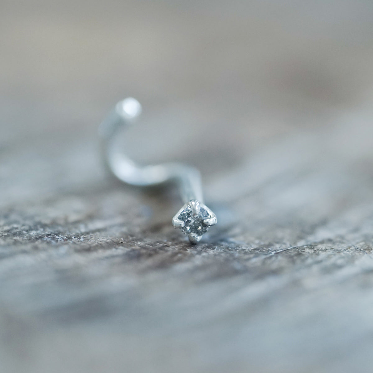 Salt and Pepper Tragus Stud Earring - Gardens of the Sun | Ethical Jewelry