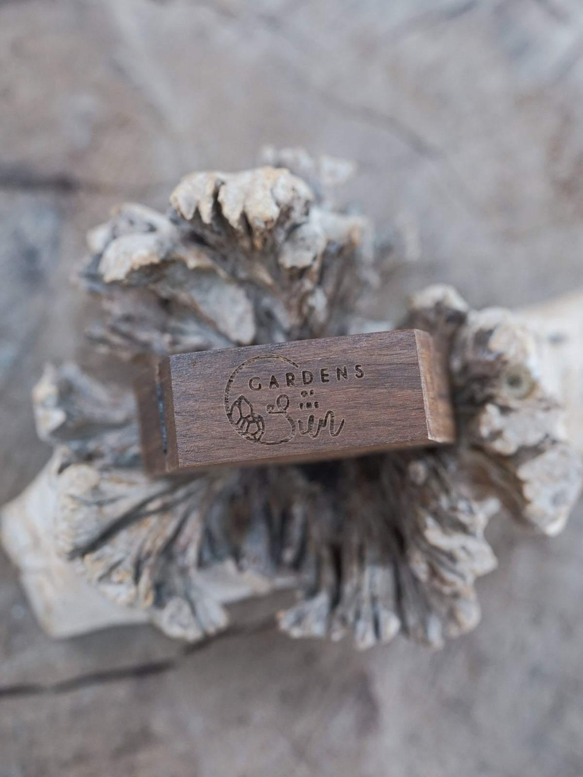 Trapezoid Wooden Ring Box - Gardens of the Sun | Ethical Jewelry