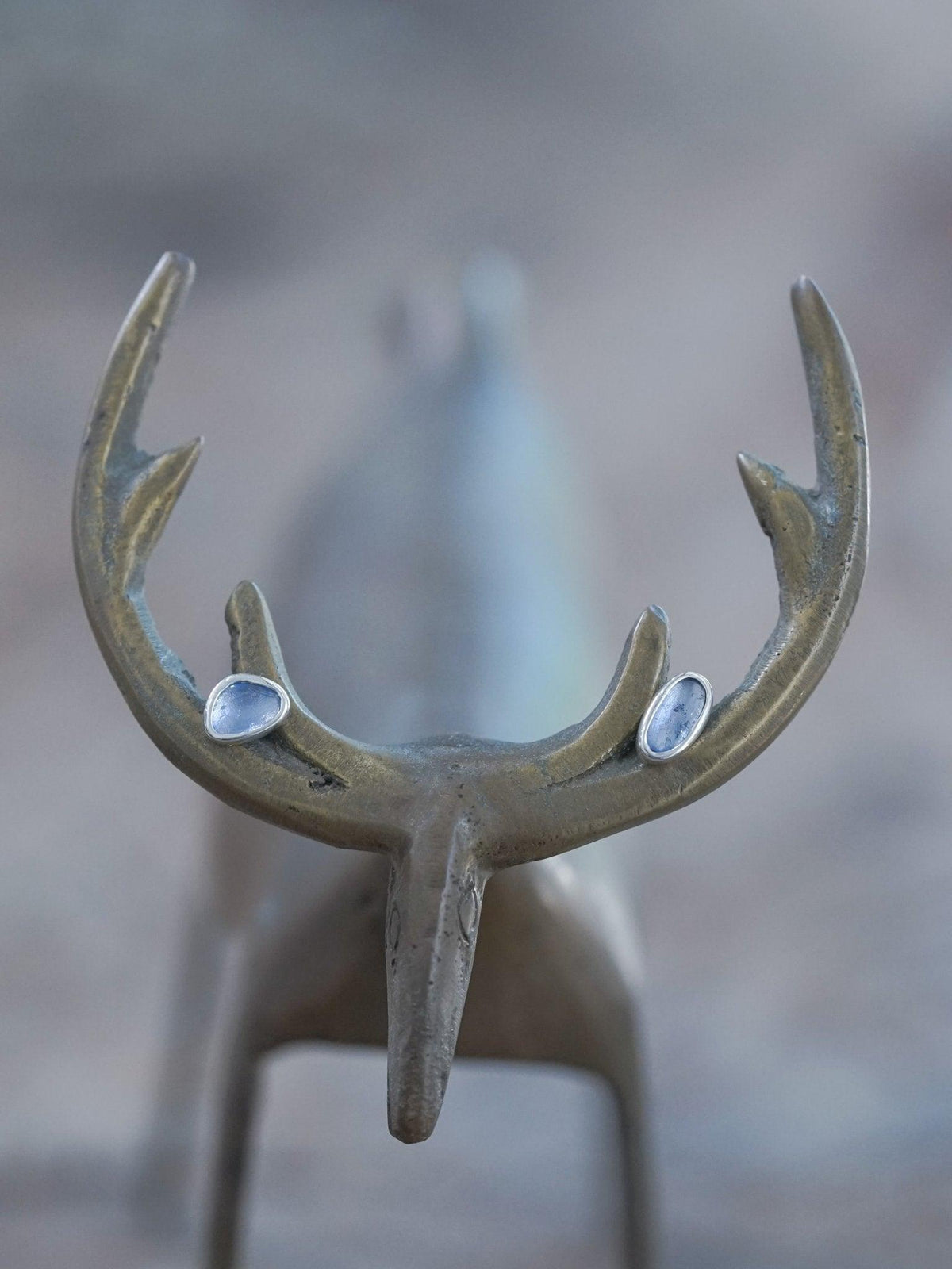 Yogo Sapphire Earrings - Gardens of the Sun | Ethical Jewelry